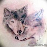 photo of wolf tattoo 27.11.2018 №440 - an example of a finished wolf tattoo - tattoovalue.net