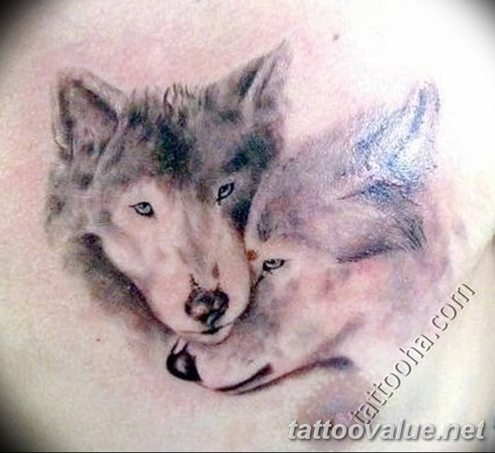 photo of wolf tattoo 27.11.2018 №440 - an example of a finished wolf tattoo - tattoovalue.net
