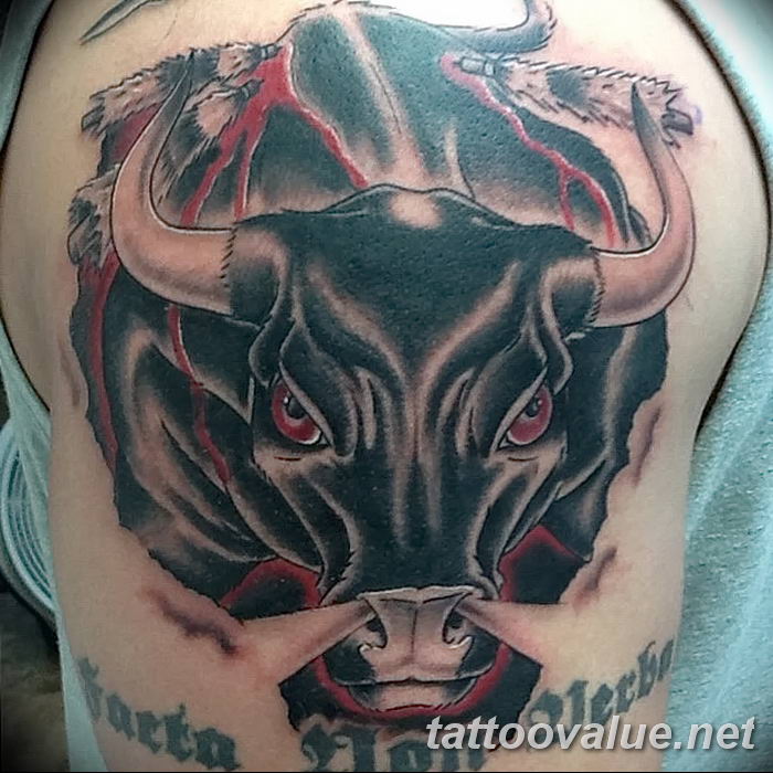 Latest Bull tattoo Tattoos  Find Bull tattoo Tattoos