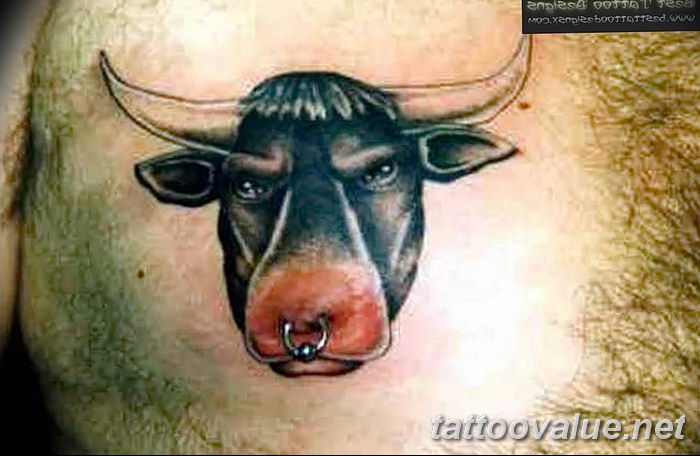 Bull Tattoos On Chest Bull Head Tattoo On Chest Real Photo, Pict. 