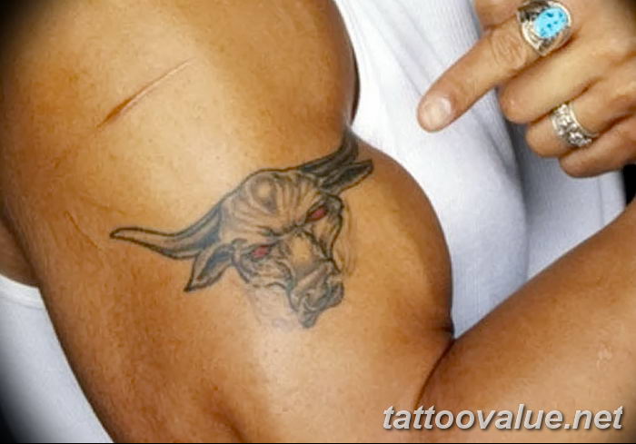 photo tattoo bull  №139 - original drawing example -   