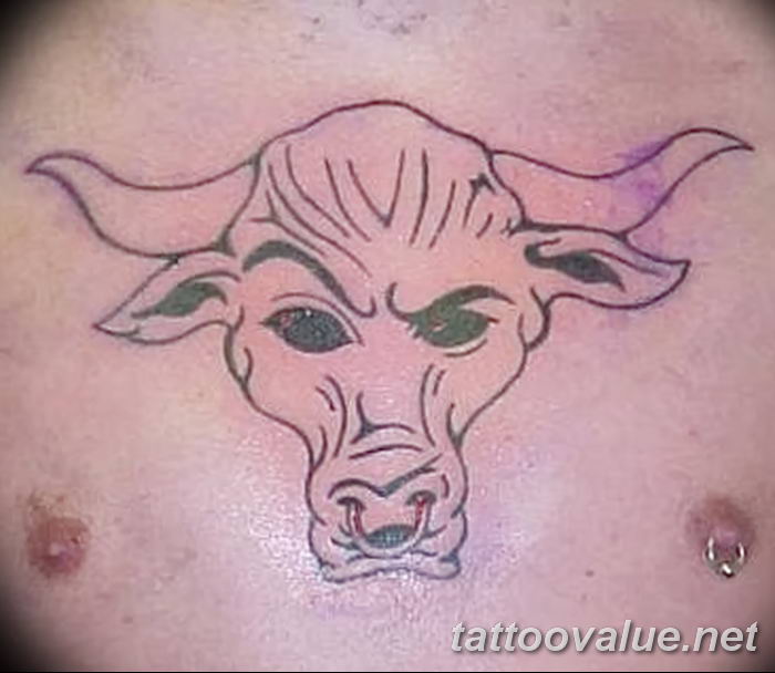 photo tattoo bull  №172 - original drawing example -   