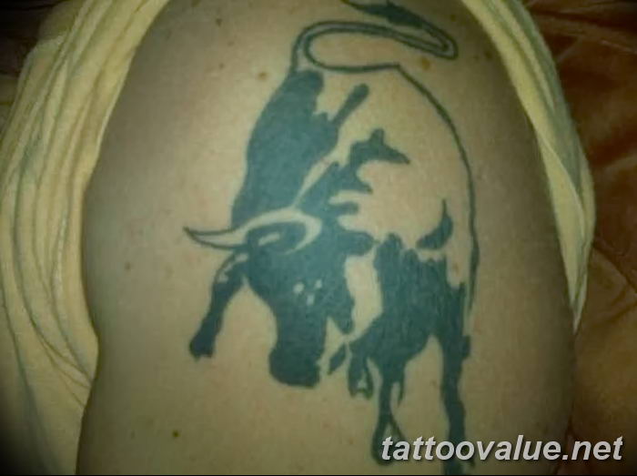 photo tattoo bull  №304 - original drawing example -   
