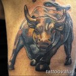 photo tattoo bull 13.11.2018 №002 - original drawing example - tattoovalue.net