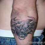 photo tattoo bull 13.11.2018 №020 - original drawing example - tattoovalue.net