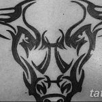 photo tattoo bull 13.11.2018 №021 - original drawing example - tattoovalue.net