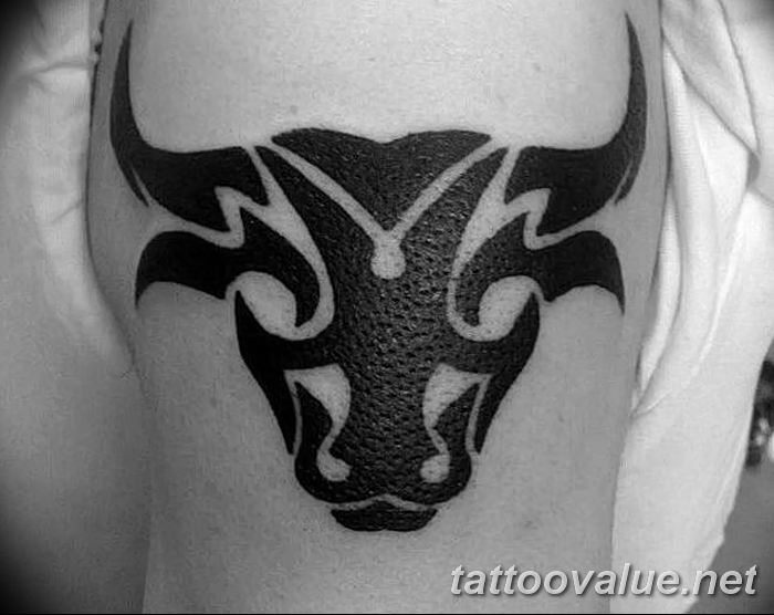 photo tattoo bull 13.11.2018 №023 - original drawing example - tattoovalue.net