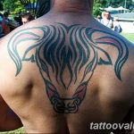 photo tattoo bull 13.11.2018 №029 - original drawing example - tattoovalue.net