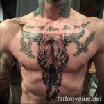 photo tattoo bull 13.11.2018 №038 - original drawing example - tattoovalue.net