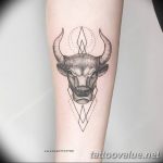 photo tattoo bull 13.11.2018 №060 - original drawing example - tattoovalue.net