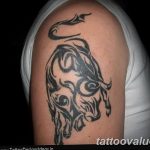 photo tattoo bull 13.11.2018 №064 - original drawing example - tattoovalue.net