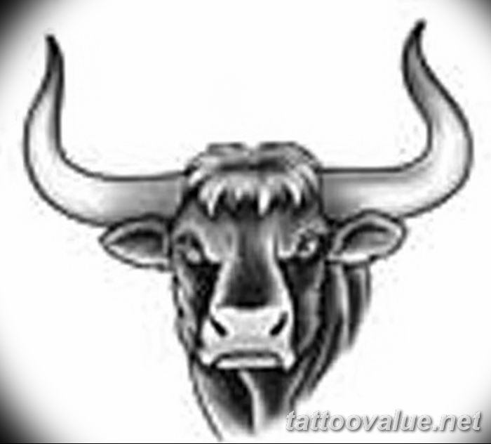 photo tattoo bull 13.11.2018 №066 - original drawing example - tattoovalue.net