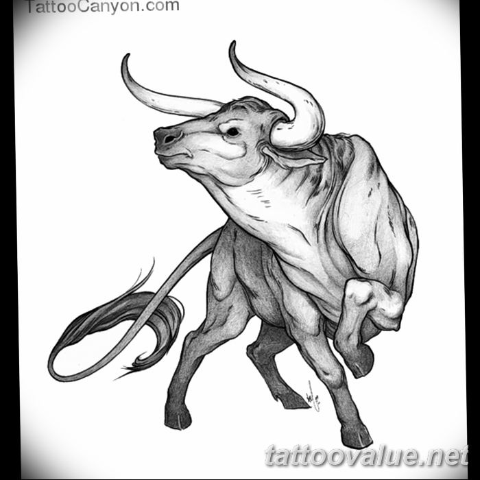 photo tattoo bull 13.11.2018 №070 - original drawing example - tattoovalue.net