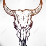 Hand drawn romantic style cow or bull skull.