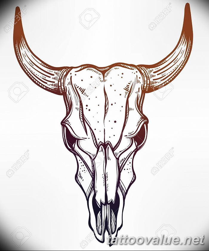 Hand drawn romantic style cow or bull skull.