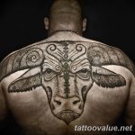 photo tattoo bull 13.11.2018 №095 - original drawing example - tattoovalue.net