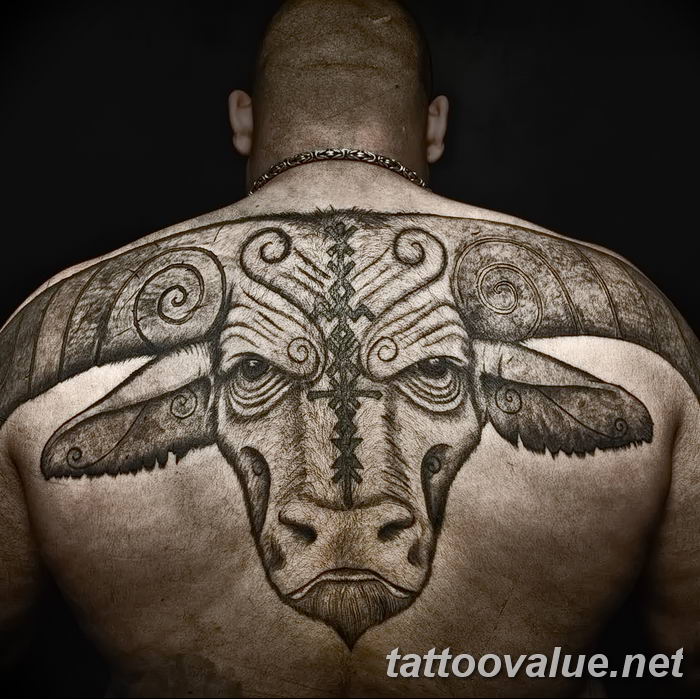 photo tattoo bull 13.11.2018 №095 - original drawing example - tattoovalue.net