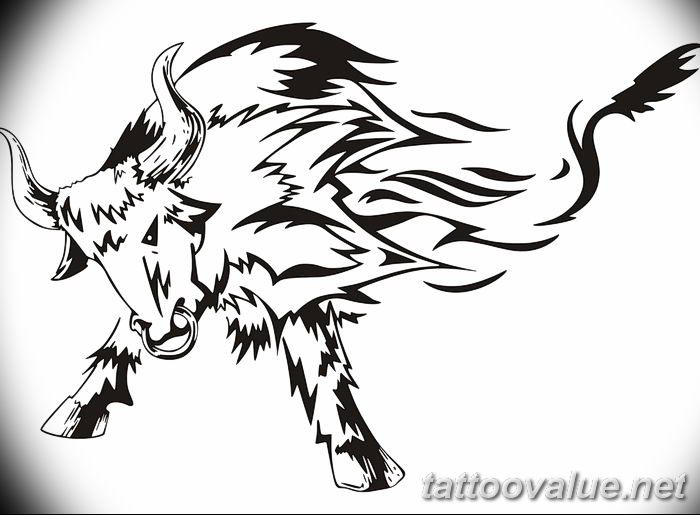 photo tattoo bull 13.11.2018 №101 - original drawing example - tattoovalue.net