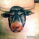 Bull Tattoos On Chest Bull Head Tattoo On Chest Real Photo, Pict