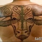 photo tattoo bull 13.11.2018 №108 - original drawing example - tattoovalue.net