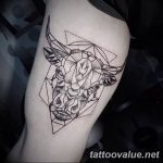 photo tattoo bull 13.11.2018 №111 - original drawing example - tattoovalue.net