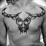 photo tattoo bull 13.11.2018 №130 - original drawing example - tattoovalue.net