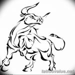 photo tattoo bull 13.11.2018 №131 - original drawing example - tattoovalue.net