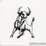 photo tattoo bull 13.11.2018 №132 - original drawing example - tattoovalue.net