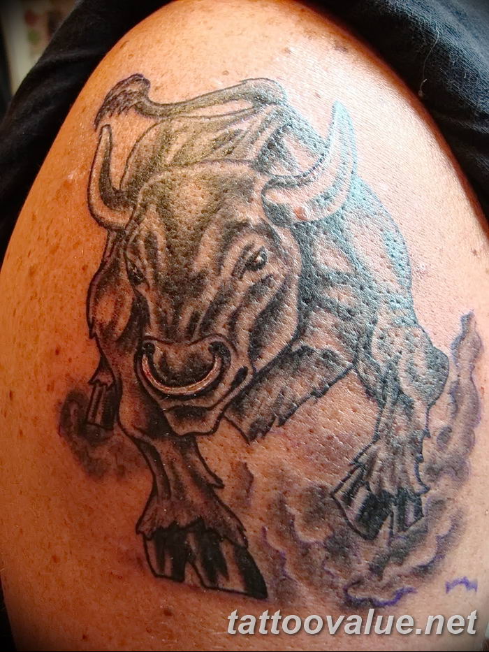photo tattoo bull 13.11.2018 №142 - original drawing example - tattoovalue.net