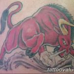 photo tattoo bull 13.11.2018 №150 - original drawing example - tattoovalue.net