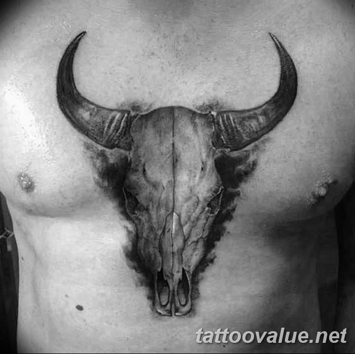 photo tattoo bull 13.11.2018 №159 - original drawing example - tattoovalue.net