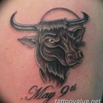 photo tattoo bull 13.11.2018 №161 - original drawing example - tattoovalue.net