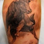 photo tattoo bull 13.11.2018 №164 - original drawing example - tattoovalue.net