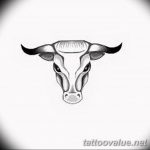 photo tattoo bull 13.11.2018 №176 - original drawing example - tattoovalue.net