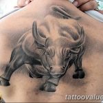 photo tattoo bull 13.11.2018 №188 - original drawing example - tattoovalue.net