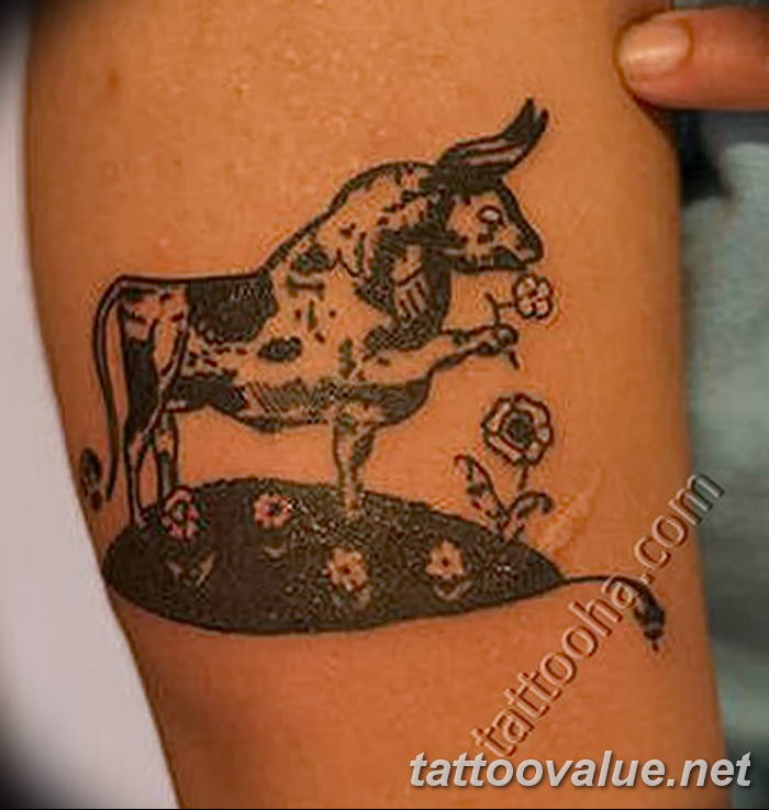 photo tattoo bull 13.11.2018 №198 - original drawing example - tattoovalue.net