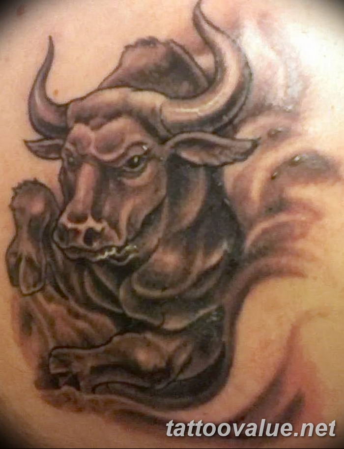 photo tattoo bull 13.11.2018 №216 - original drawing example - tattoovalue.net