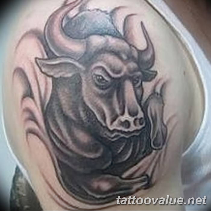 photo tattoo bull 13.11.2018 №221 - original drawing example - tattoovalue.net