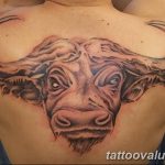 photo tattoo bull 13.11.2018 №226 - original drawing example - tattoovalue.net