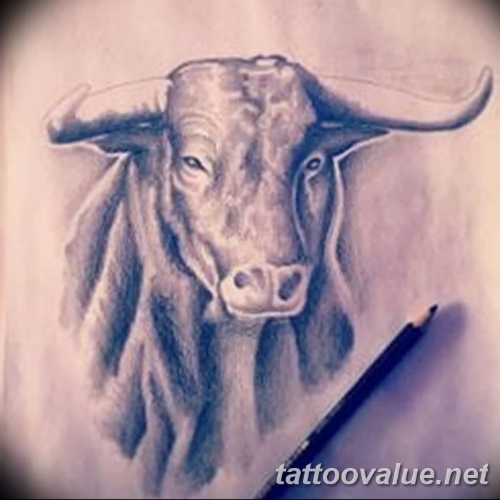 photo tattoo bull 13.11.2018 №227 - original drawing example - tattoovalue.net