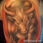 photo tattoo bull 13.11.2018 №229 - original drawing example - tattoovalue.net