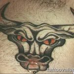 photo tattoo bull 13.11.2018 №234 - original drawing example - tattoovalue.net