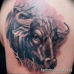 photo tattoo bull 13.11.2018 №235 - original drawing example - tattoovalue.net