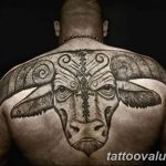 photo tattoo bull 13.11.2018 №244 - original drawing example - tattoovalue.net