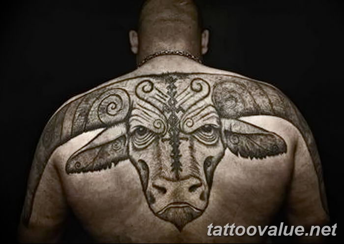 photo tattoo bull 13.11.2018 №244 - original drawing example - tattoovalue.net