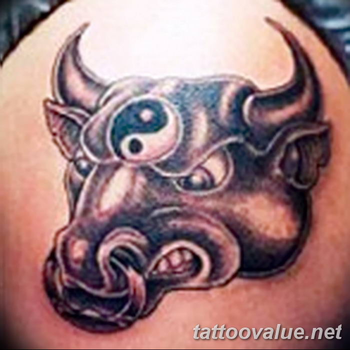 photo tattoo bull 13.11.2018 №249 - original drawing example - tattoovalue.net
