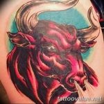 photo tattoo bull 13.11.2018 №257 - original drawing example - tattoovalue.net