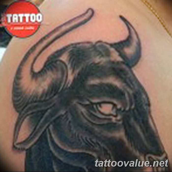 photo tattoo bull 13.11.2018 №274 - original drawing example - tattoovalue.net