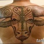 Large tribal bull tattoo on the back, featuring intricate geometric patterns and bold black ink. A striking example of body art.