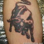 photo tattoo bull 13.11.2018 №282 - original drawing example - tattoovalue.net